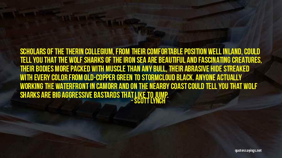 Strong Organizations Quotes By Scott Lynch Strong Organizations Quotes By Scott Lynch