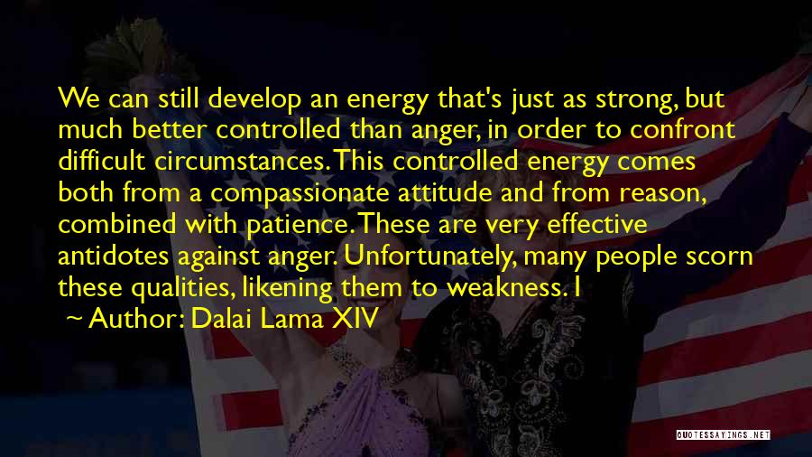 Strong Qualities Quotes By Dalai Lama XIV