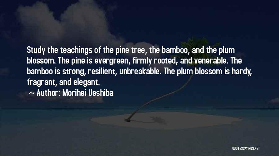 Strong Resilient Quotes By Morihei Ueshiba