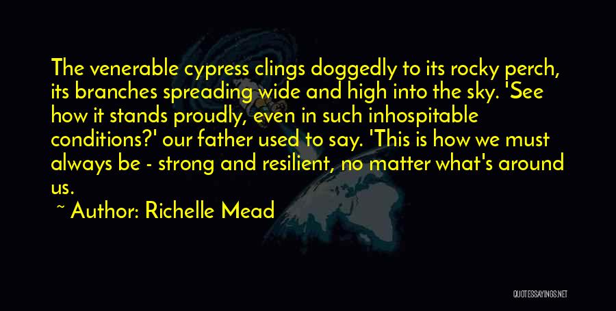 Strong Resilient Quotes By Richelle Mead