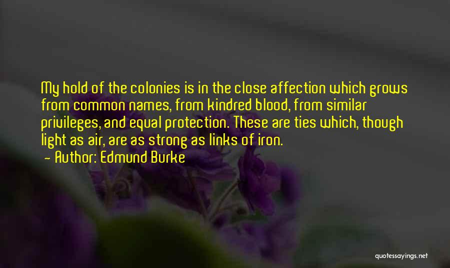 Strong Ties Quotes By Edmund Burke