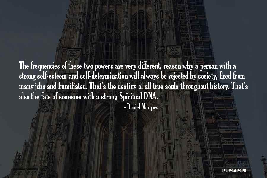 Strong Will And Determination Quotes By Daniel Marques Strong Will And Determination Quotes By Daniel Marques