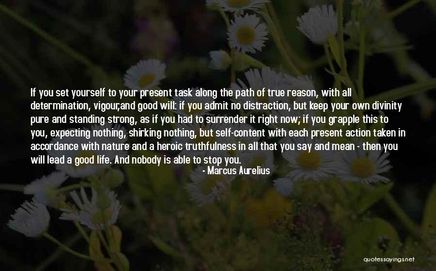 Strong Will And Determination Quotes By Marcus Aurelius Strong Will And Determination Quotes By Marcus Aurelius