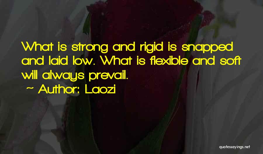Strong Will Quotes By Laozi
