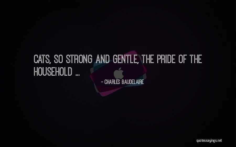 Strong Yet Gentle Quotes By Charles Baudelaire