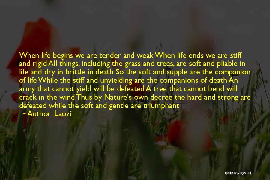 Strong Yet Gentle Quotes By Laozi