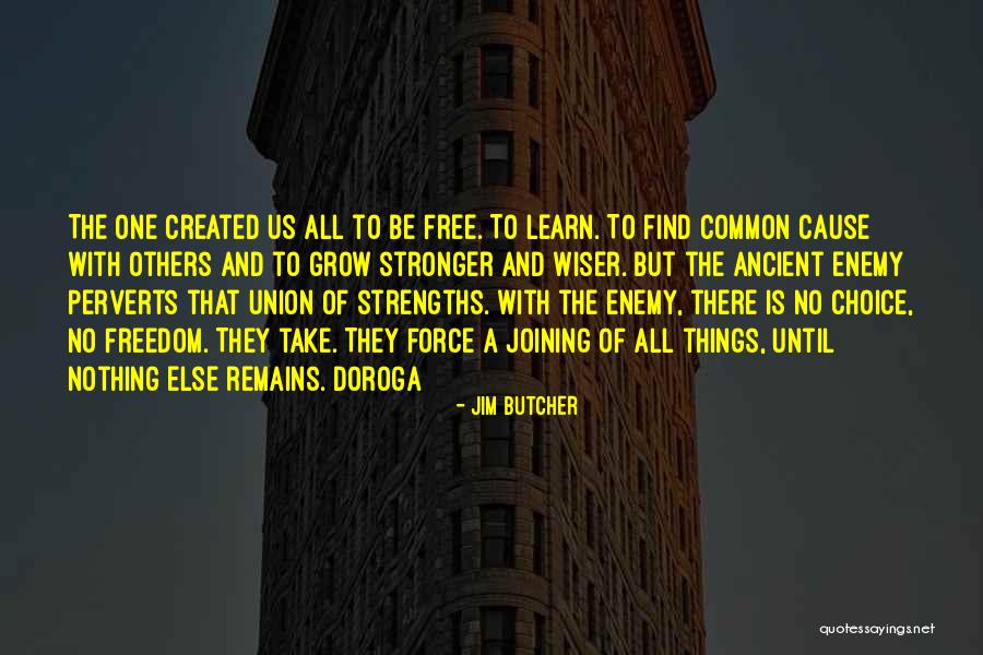 Stronger And Wiser Quotes By Jim Butcher Stronger And Wiser Quotes By Jim Butcher