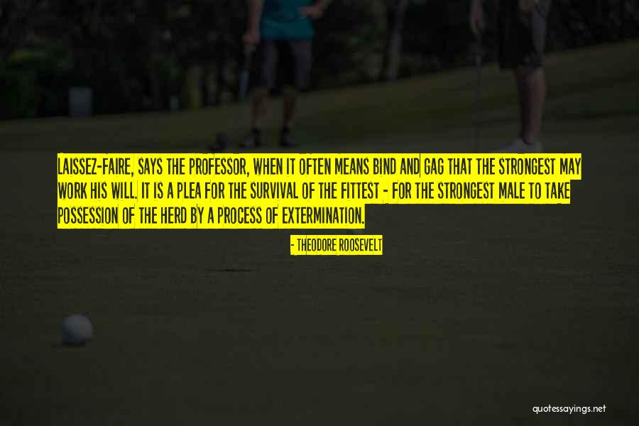 Strongest Quotes By Theodore Roosevelt Strongest Quotes By Theodore Roosevelt
