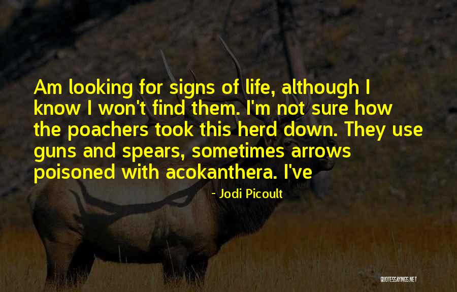 Stronghold Crusader Saladin Quotes By Jodi Picoult Stronghold Crusader Saladin Quotes By Jodi Picoult