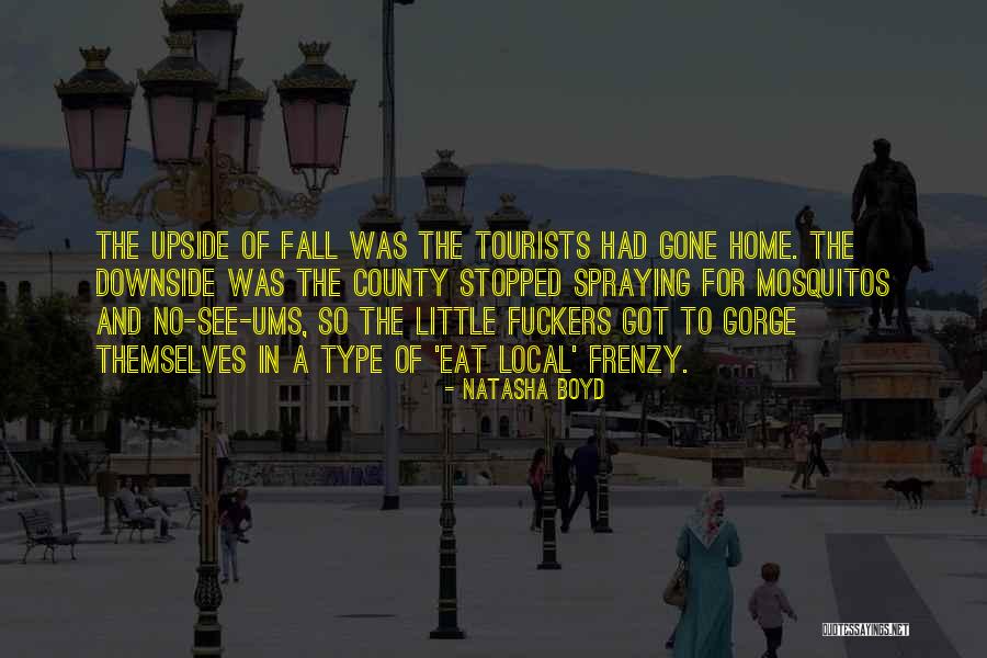 Stronzo Translation Quotes By Natasha Boyd Stronzo Translation Quotes By Natasha Boyd