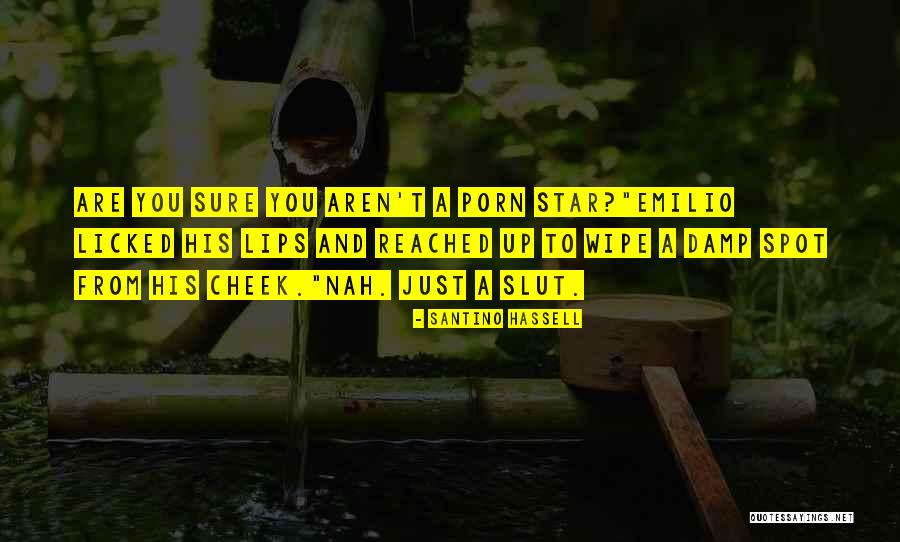 Stroobants Farmville Quotes By Santino Hassell Stroobants Farmville Quotes By Santino Hassell