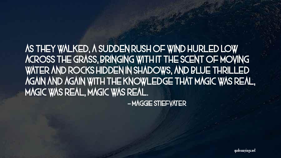 Strubel Quotes By Maggie Stiefvater Strubel Quotes By Maggie Stiefvater