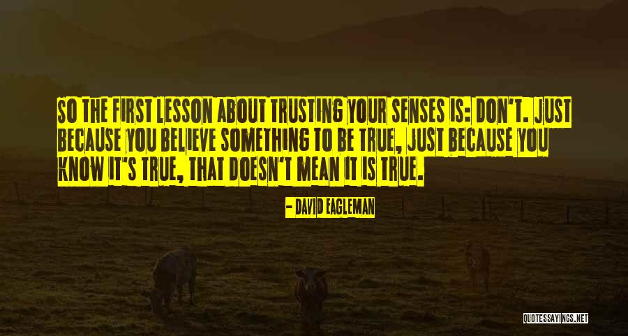 Strubert Quotes By David Eagleman Strubert Quotes By David Eagleman