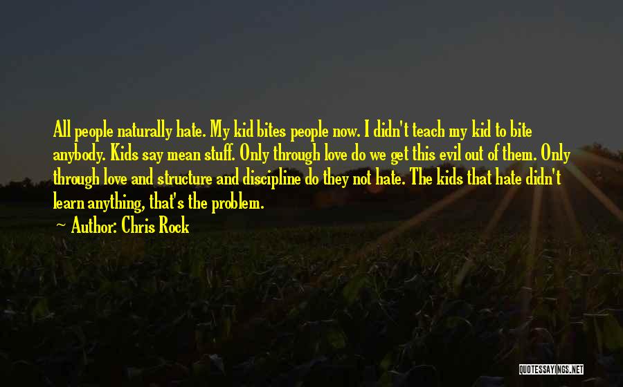 Structure And Discipline Quotes By Chris Rock