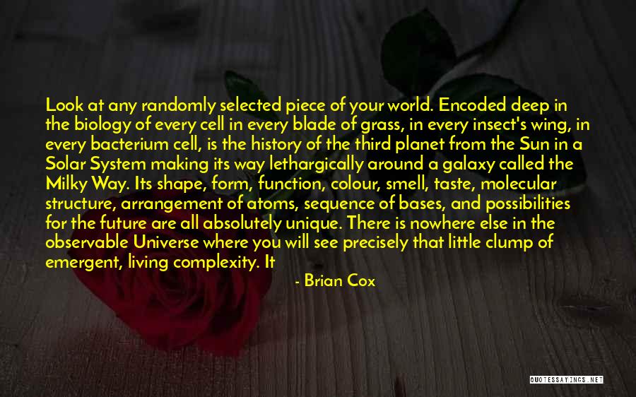 Structure And Function Quotes By Brian Cox Structure And Function Quotes By Brian Cox