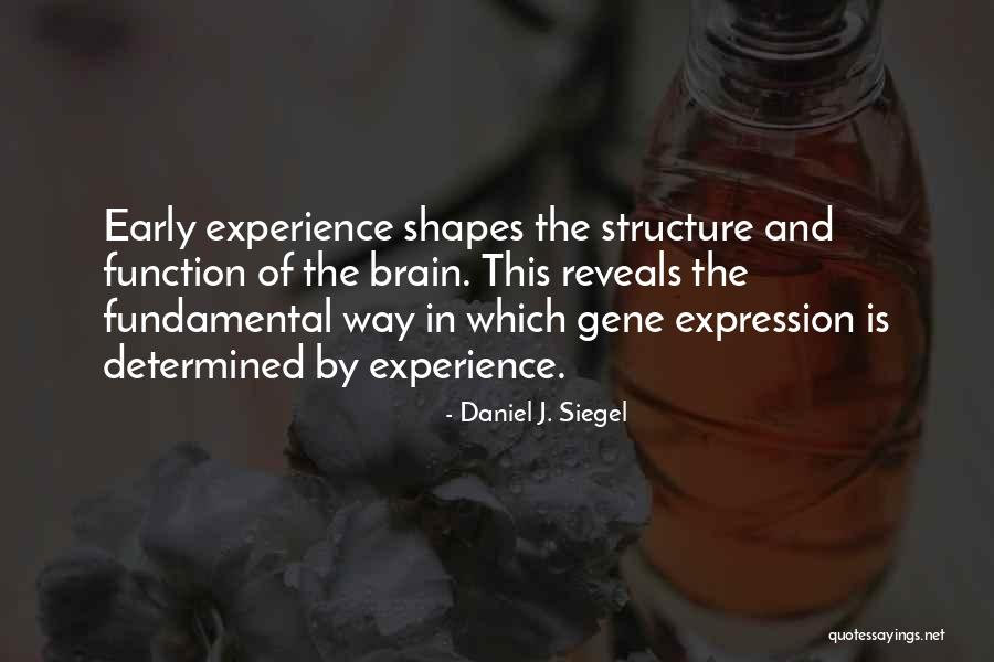 Structure And Function Quotes By Daniel J. Siegel Structure And Function Quotes By Daniel J. Siegel