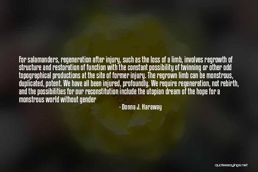 Structure And Function Quotes By Donna J. Haraway Structure And Function Quotes By Donna J. Haraway