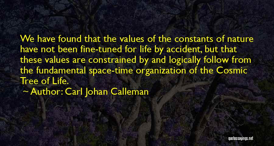 Structure And Organization Quotes By Carl Johan Calleman