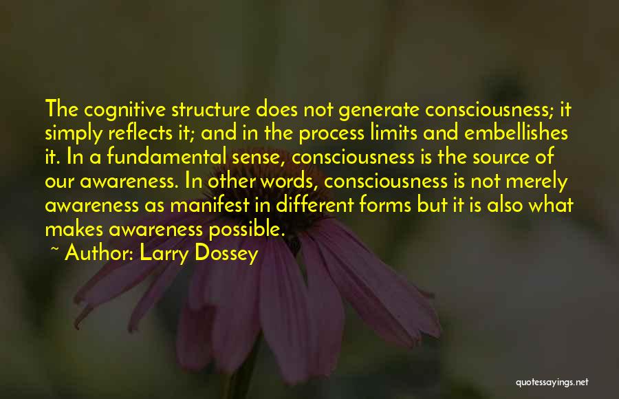 Structure Quotes By Larry Dossey