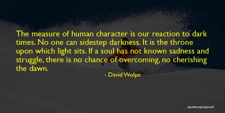 Struggle And Character Quotes By David Wolpe