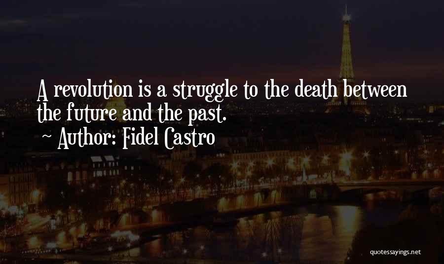 Struggle And Death Quotes By Fidel Castro