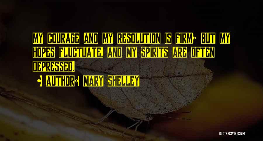 Struggle And Depression Quotes By Mary Shelley