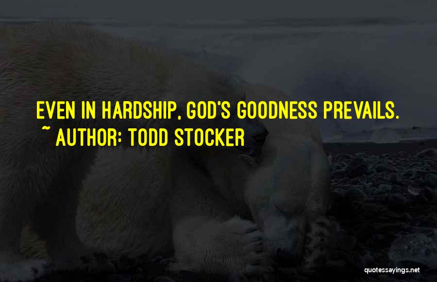 Struggle And Hardship Quotes By Todd Stocker