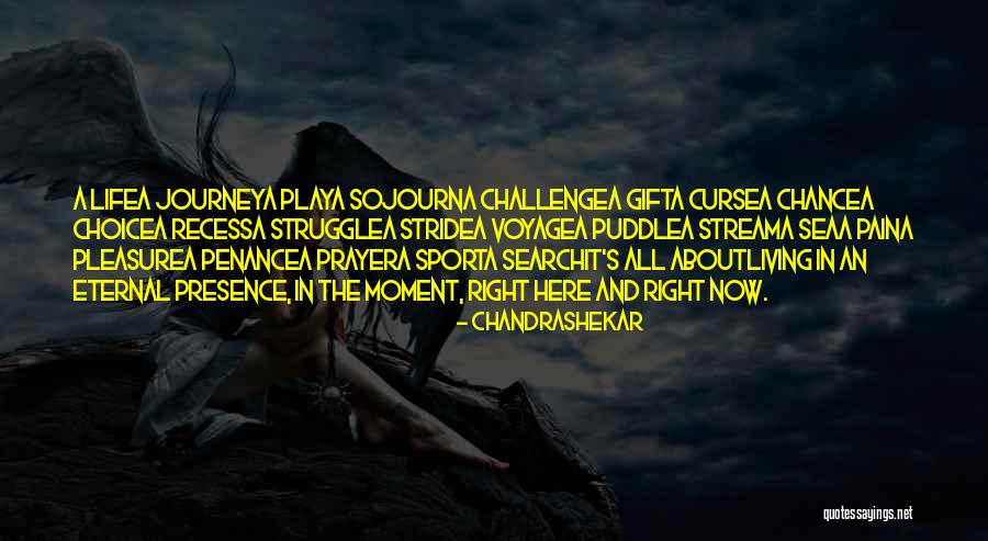 Struggle And Journey Quotes By Chandrashekar Struggle And Journey Quotes By Chandrashekar