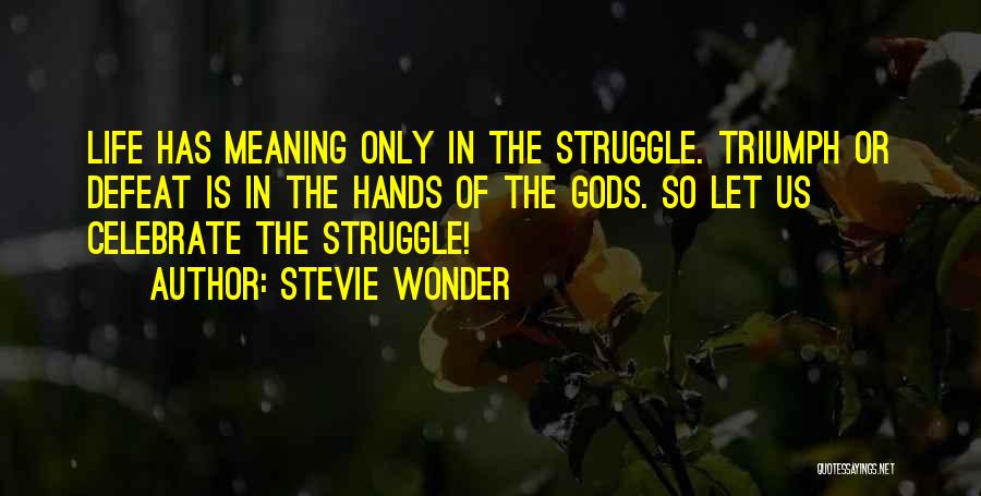 Struggle And Triumph Quotes By Stevie Wonder