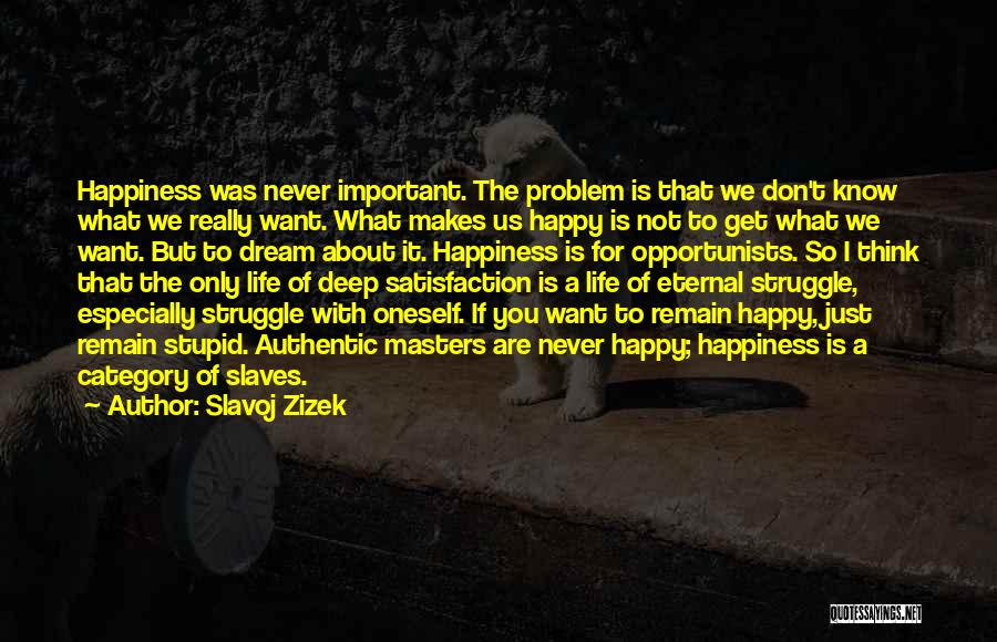 Struggle For Happiness Quotes By Slavoj Zizek
