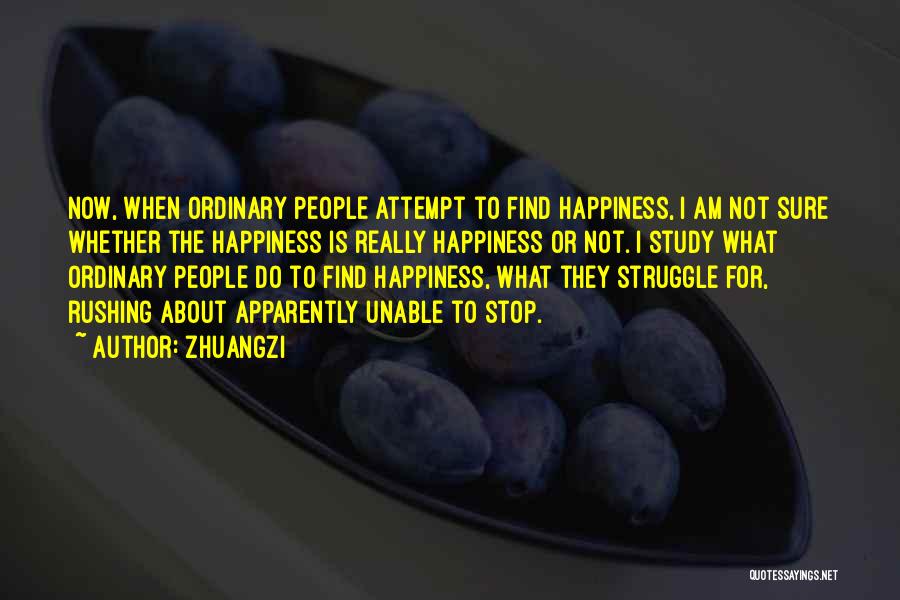 Struggle For Happiness Quotes By Zhuangzi