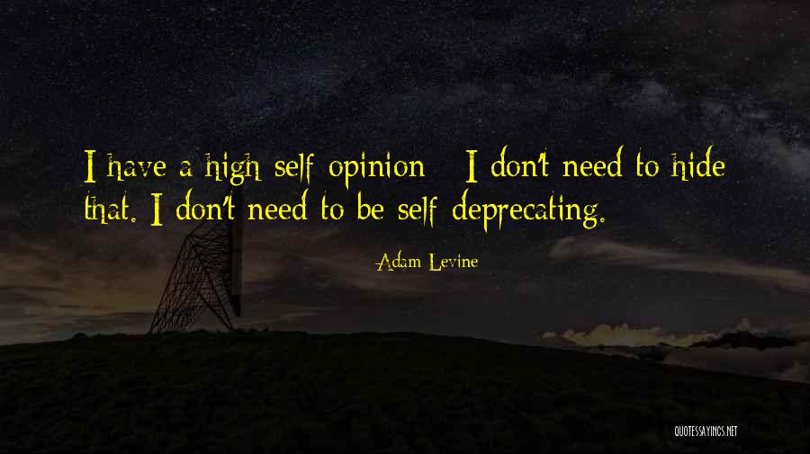 Struggler R Quotes By Adam Levine Struggler R Quotes By Adam Levine
