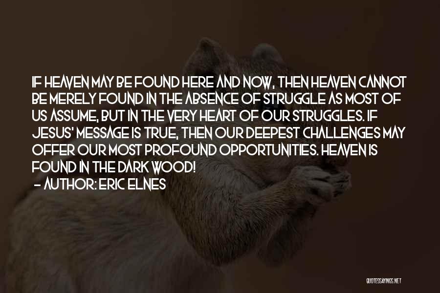 Struggles And Challenges Quotes By Eric Elnes