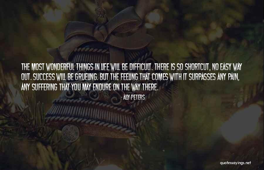 Struggles And Success In Life Quotes By Ally Peters Struggles And Success In Life Quotes By Ally Peters