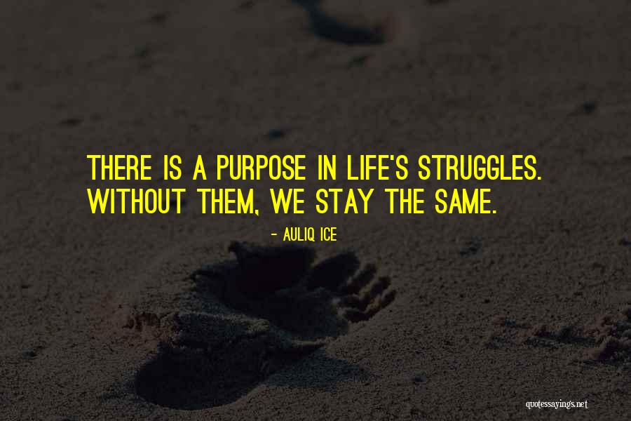 Struggles And Success In Life Quotes By Auliq Ice Struggles And Success In Life Quotes By Auliq Ice