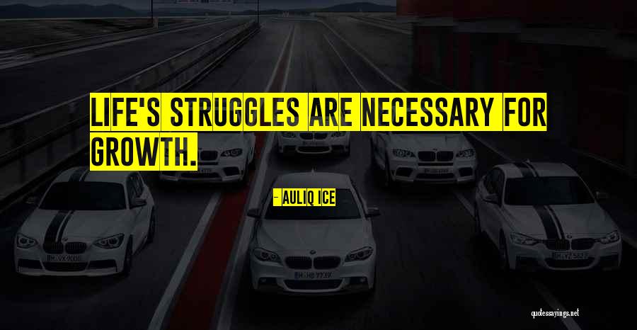 Struggles And Success In Life Quotes By Auliq Ice Struggles And Success In Life Quotes By Auliq Ice