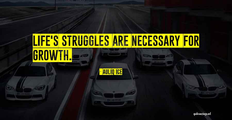 Struggles And Success In Life Quotes By Auliq Ice