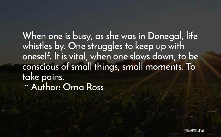 Struggles In Life Quotes By Orna Ross
