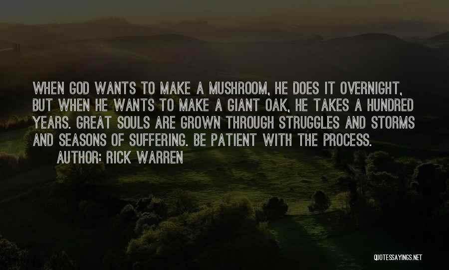 Struggles Quotes By Rick Warren