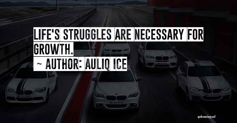 Struggles To Success Quotes By Auliq Ice