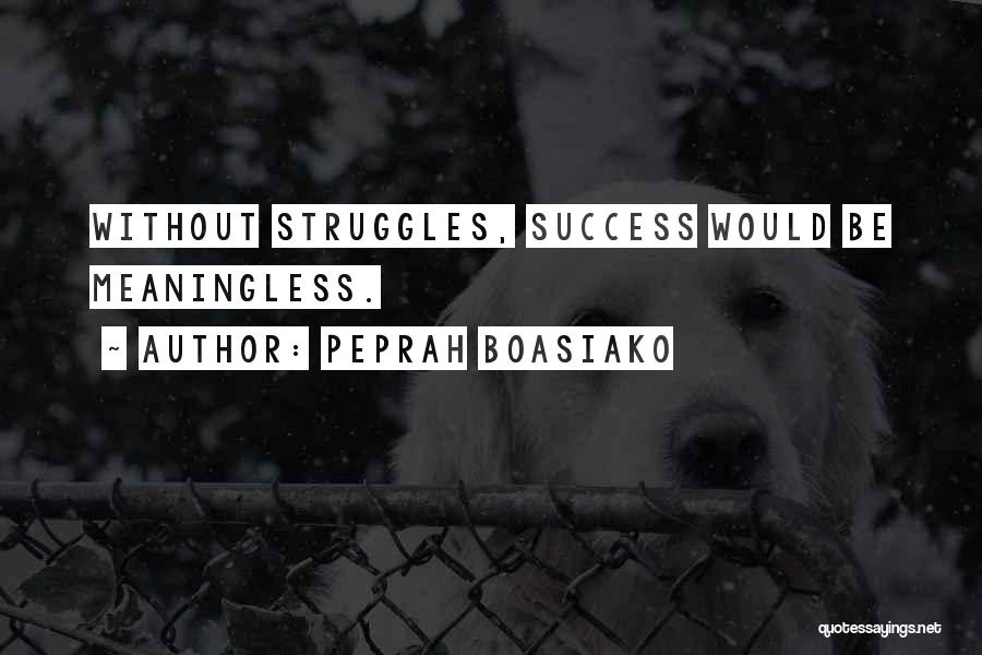 Struggles To Success Quotes By Peprah Boasiako