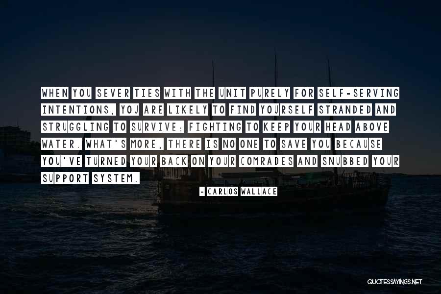 Struggling With Yourself Quotes By Carlos Wallace Struggling With Yourself Quotes By Carlos Wallace