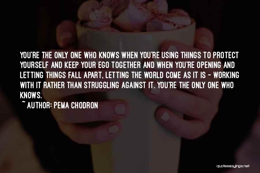 Struggling With Yourself Quotes By Pema Chodron