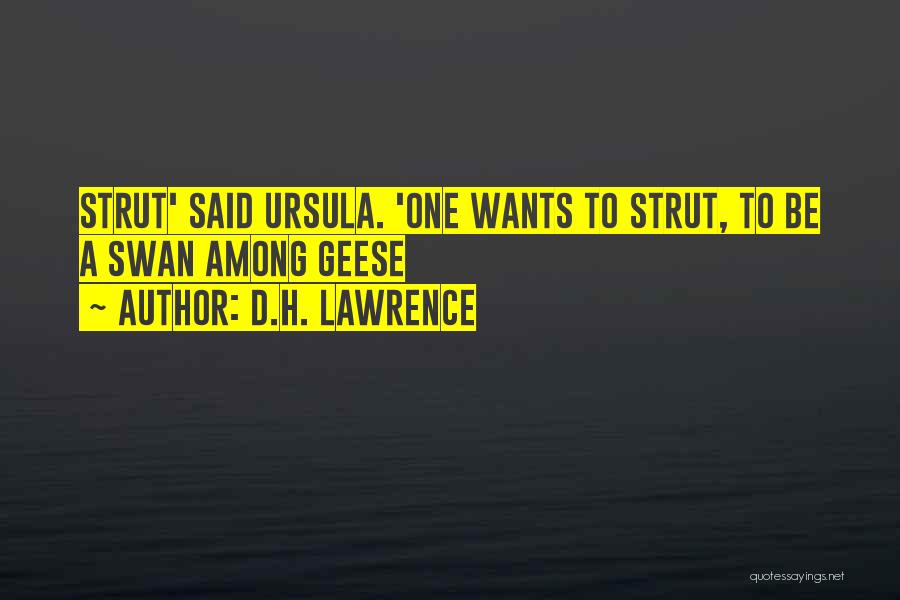 Strut Quotes By D.H. Lawrence