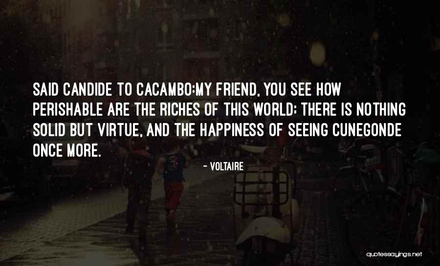 Stteam Quotes By Voltaire Stteam Quotes By Voltaire