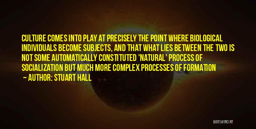 Stuart Hall Quotes 238497