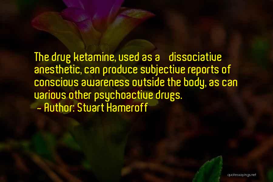 Stuart Hameroff Quotes 1590922