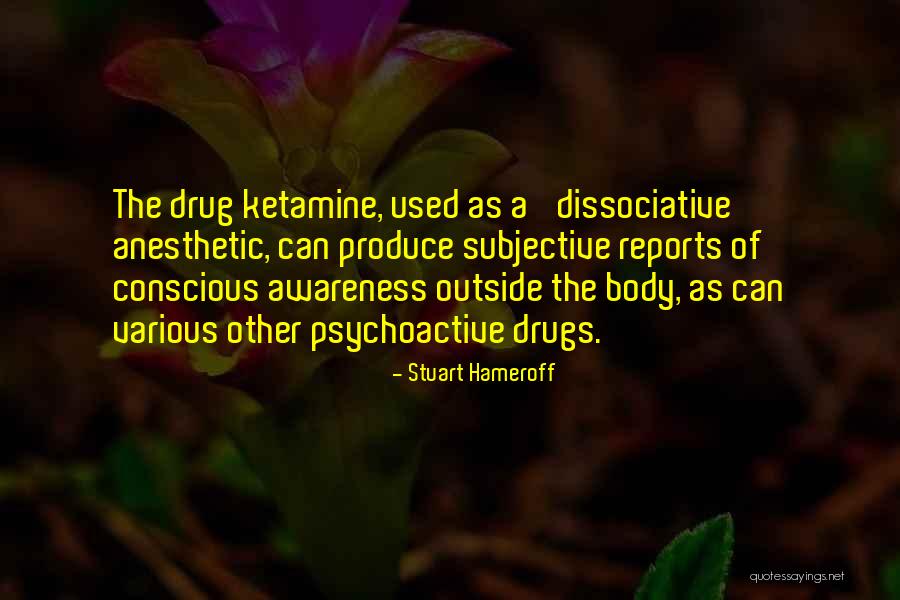 Stuart Hameroff Quotes 1590922