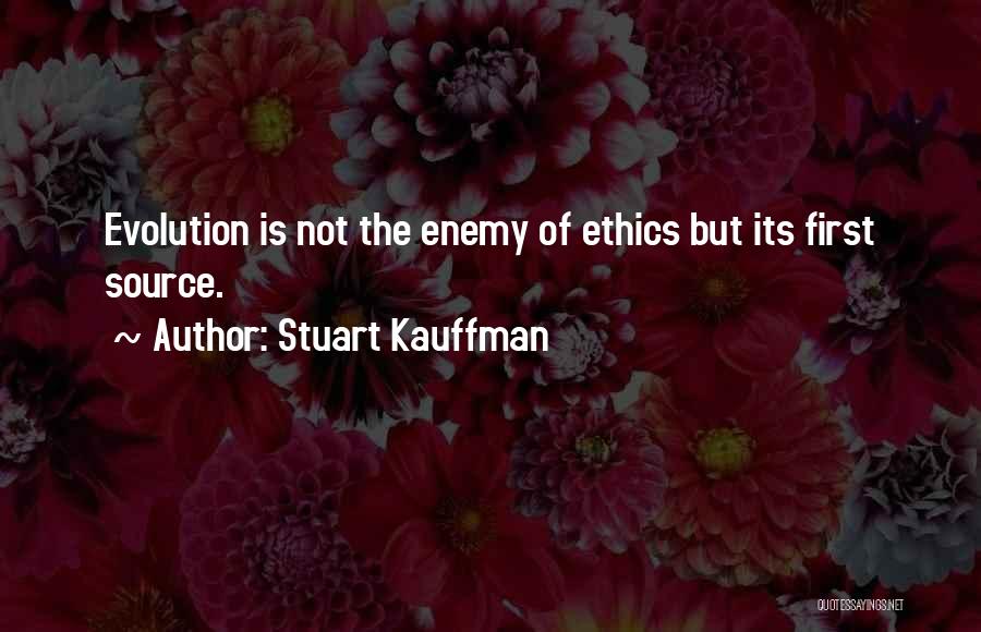 Stuart Kauffman Quotes 1264593