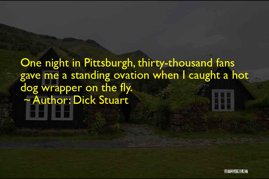 Stuart Quotes By Dick Stuart